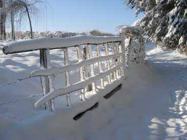 Et en voil� une finie sous la neige du Morvan le 5 mars 2006 !!! (JPG)