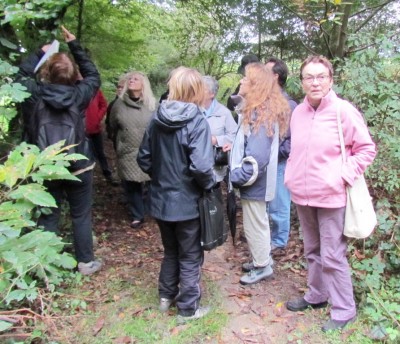 BALADE DECOUVERTE CHAMPIGNONS, PLANTES COMESTIBLES ET MEDICINALES EN MORVAN 11 OCTOBRE 2013 12